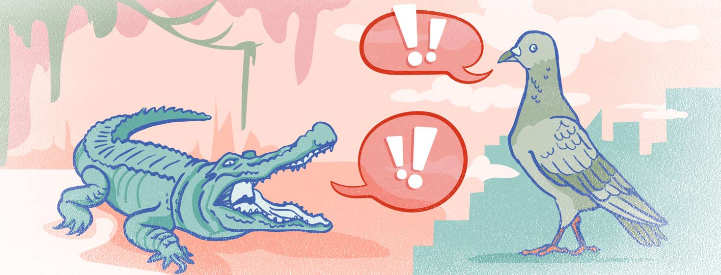 a crocodile and a pigeon facing each other, each with a speech bubble with two exclamation points